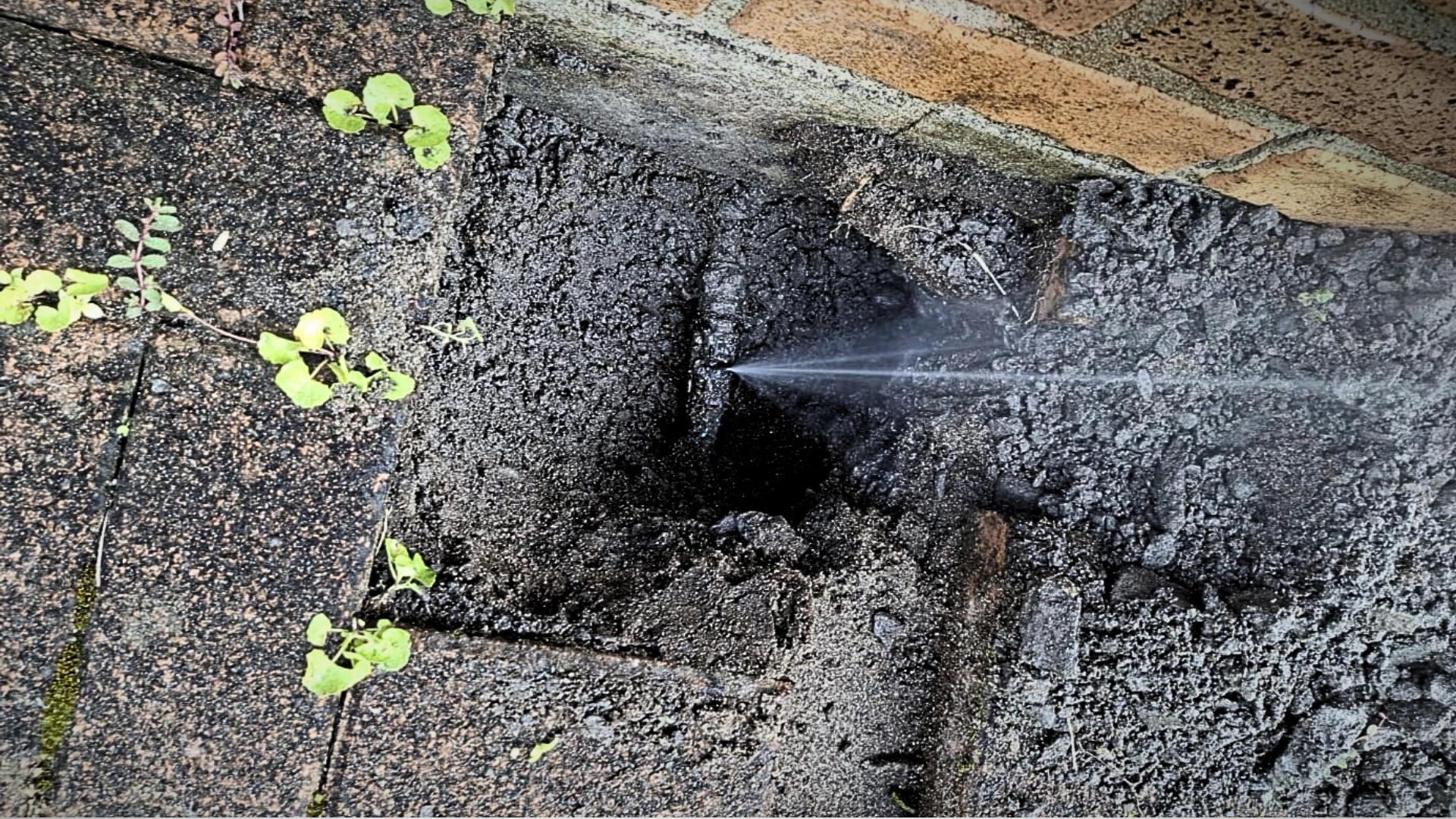 Plumbing for Property Managers Taupō